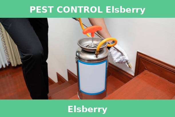 PEST CONTROL Elsberry